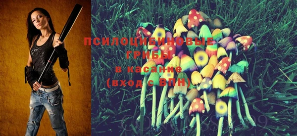 MDMA Premium VHQ Богородицк