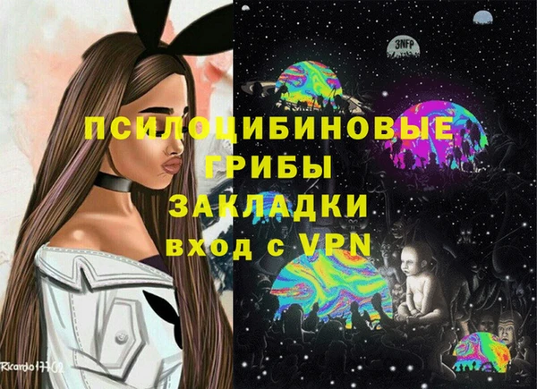 твердый Богданович