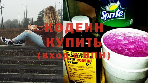 твердый Богданович