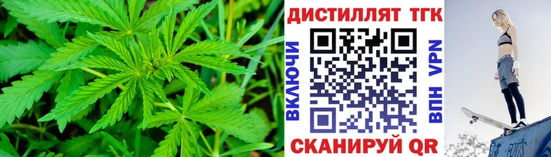 Купить закладки  Касимов  ТГК концентрат 