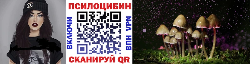 Купить  Касимов  Галлюциногенные грибы MAGIC MUSHROOMS 
